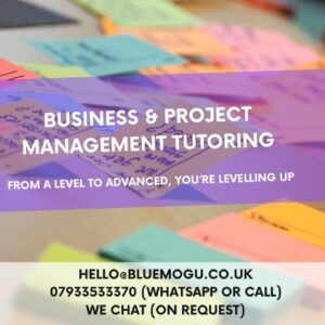 business & project management tutoring and coaching