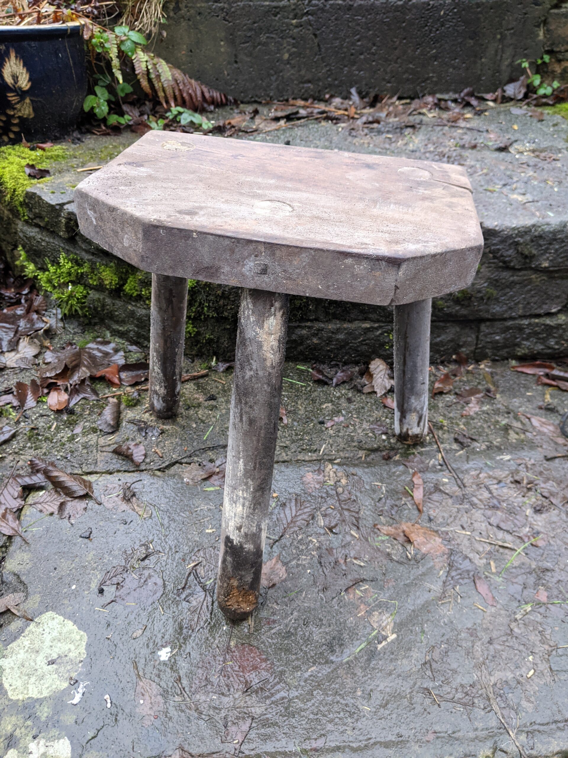 PXL 20210110 111147928 Scaled