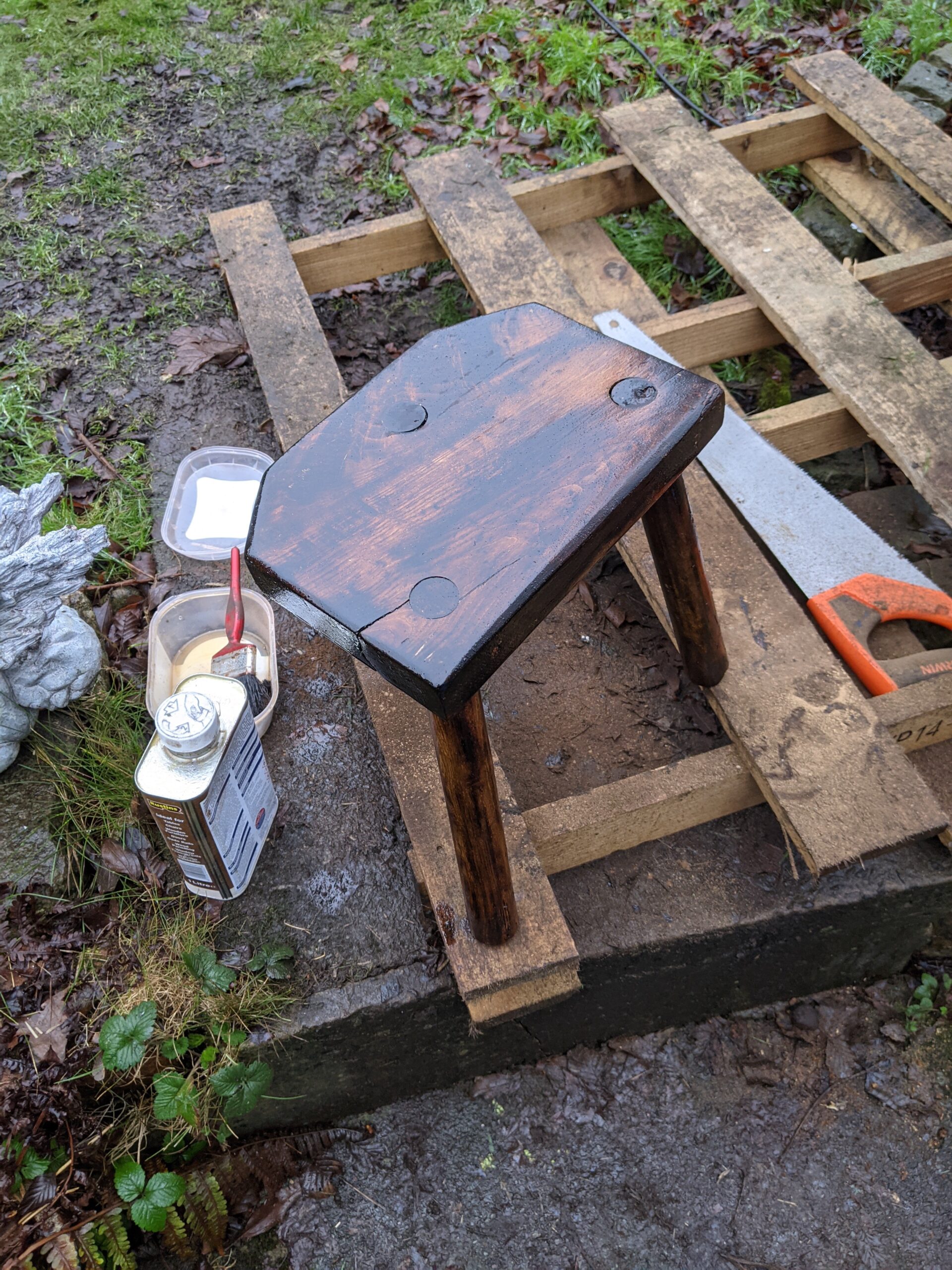 PXL 20210110 120038665 Scaled